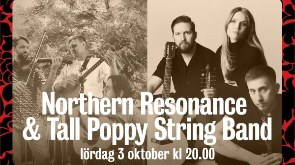 Northern Resonance & Tall Poppy Stringband — Stallet - Världens Musik, Stockholm