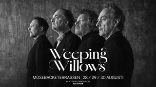 Weeping Willows
