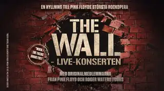 Pink Floyd's The Wall - LIVE Concert