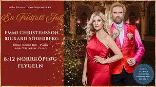 En fridfull jul