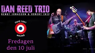Dan Reed Trio