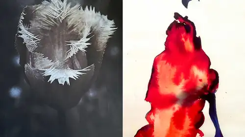 Exhibition: Annelie Westin and Boris Zats