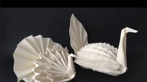 Workshop: Forms Growing from Napkins