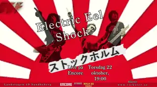Electric Eel Shock