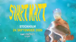 Svart Katt
