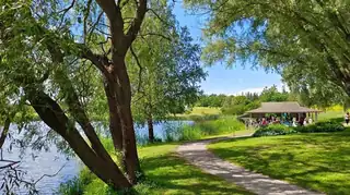 5Rhythms Outdoor Dancing in Nature