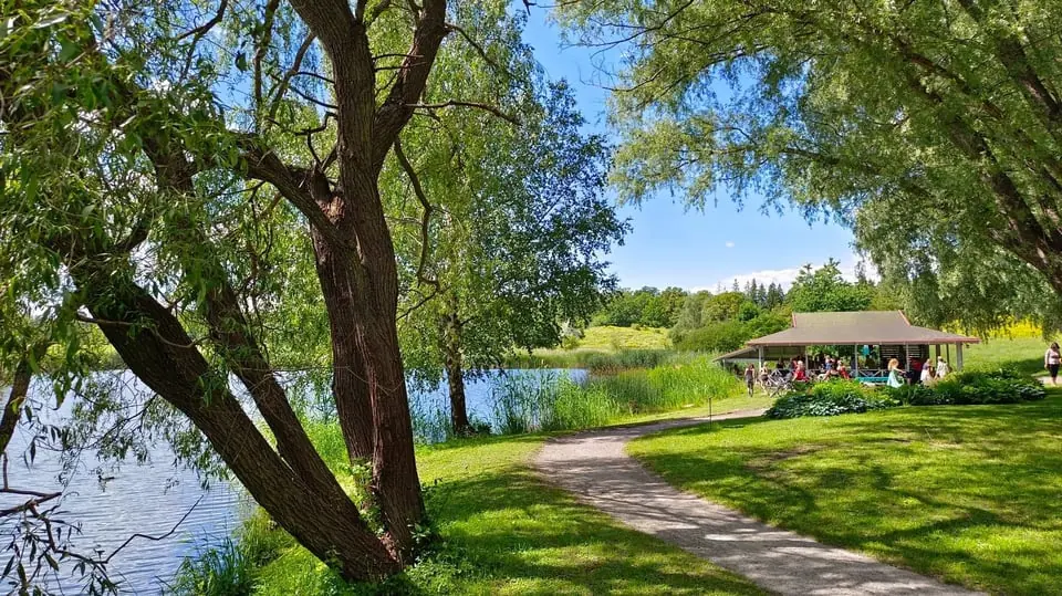5Rhythms Outdoor Dancing in Nature — Stora Skuggans utedans bana, Tukholma