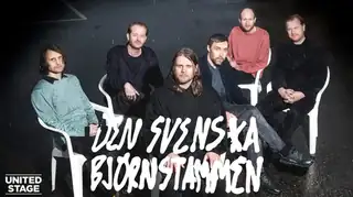 Den Svenska Björnstammen