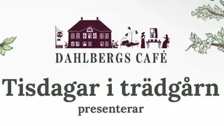 Tisdagar i Trädgårn Dahlbergs caféssa 2026