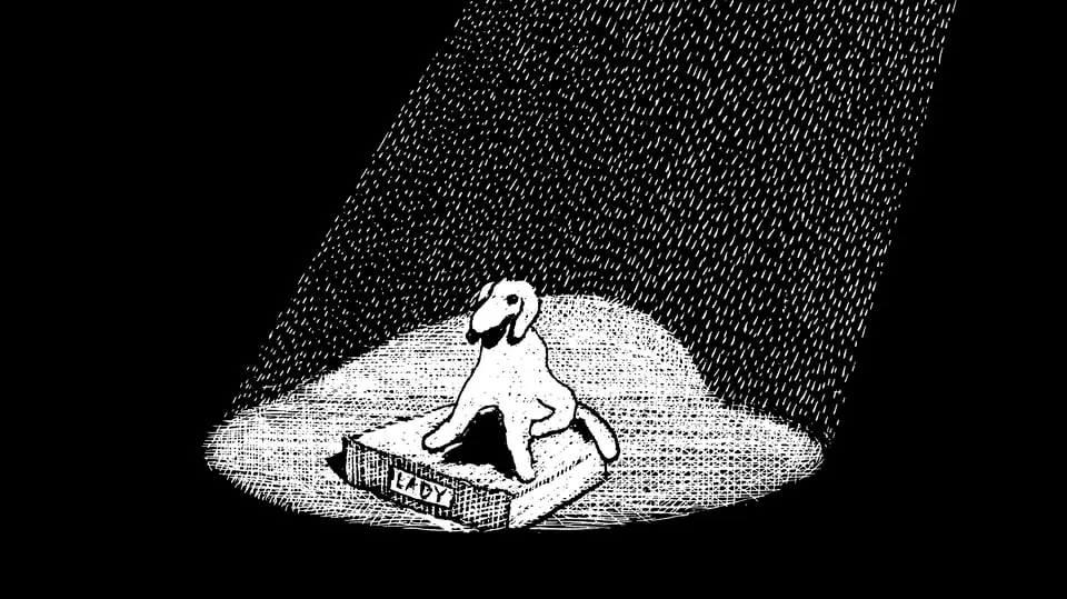 Premiere: A Stuffed Dog — Norrbottensteatern Scen 3, Luleå
