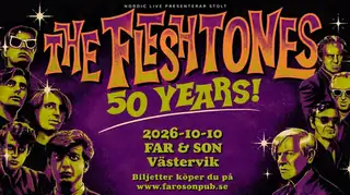 The Fleshtones