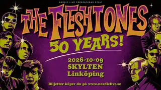 The Fleshtones