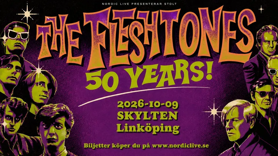 The Fleshtones — Skyltenlkpg, Linköping
