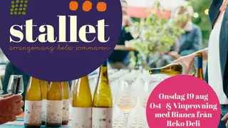 Дегустация сыра и вина с Бьянкой из Reko Deli