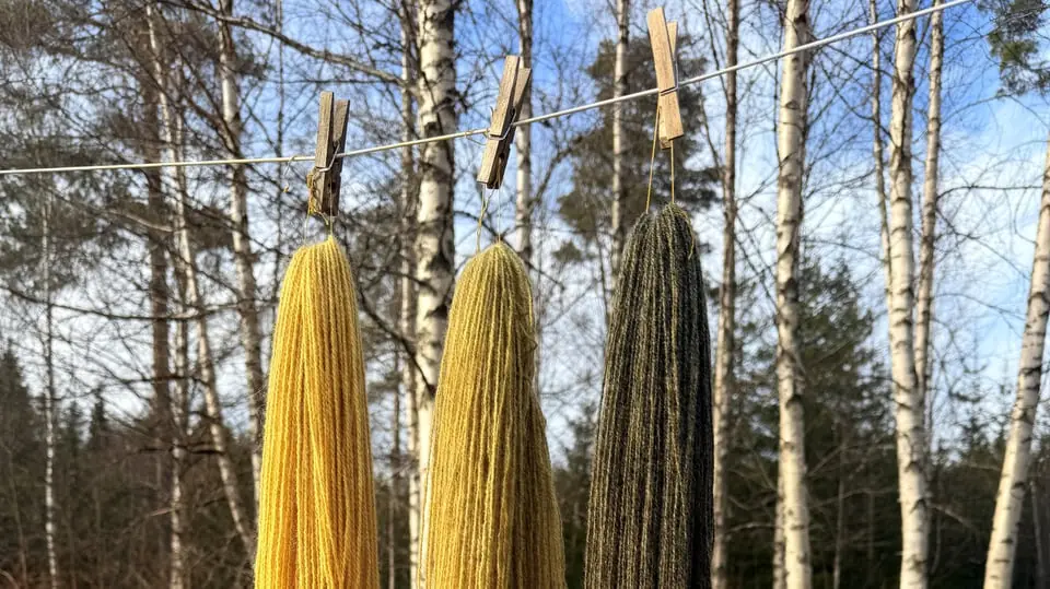 Plant Dye Workshop with Ulrika Jäger — Torsby Finnskogscentrum, Torsby