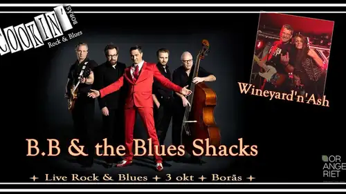 "BLUES IS A STEW!", B.B & The Blues Shacks (D)