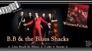 "BLUES IS A STEW!", B.B & The Blues Shacks (D)