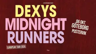 Dexys Midnight Runners