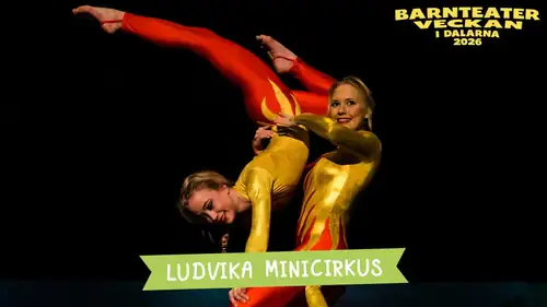 Ludvika minicircus