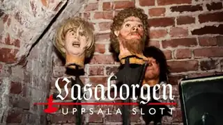 Historiallinen opastettu kierros Vasaborgen-museossa klo 14