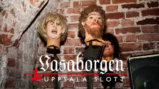 Historiallinen opastettu kierros Vasaborgen-museossa klo 14 — Vasaborgen Uppsala slott, Uppsala