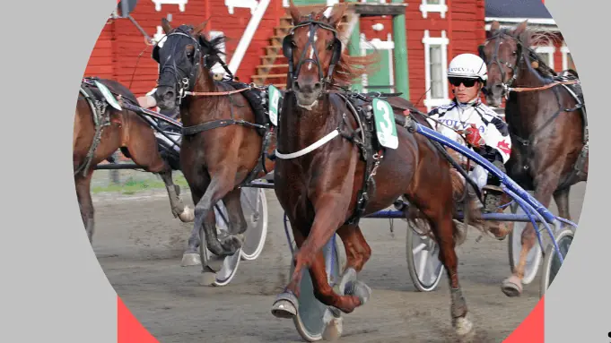 Hotingresan Friday 10 July — Östersundstravet, Östersund