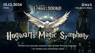Hogwarts Magic Symphony