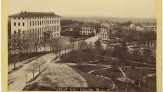 Экскурсия: Исторические виды Уппсалы