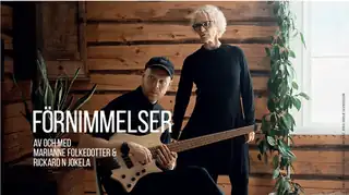 Förnimmelser
