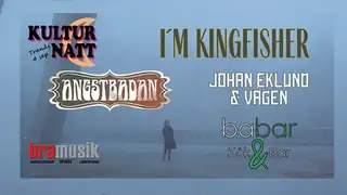 Kulturnatt på Babar