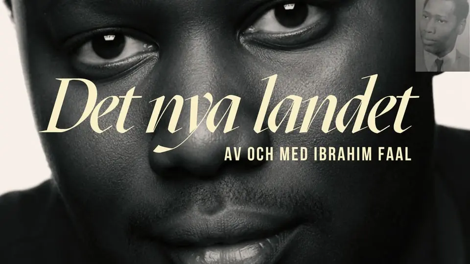 DET NYA LANDET - Ibrahim Faal — Inkonst, Мальмё
