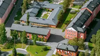 Umedalenin veistospuiston opastettu kierros 17. elokuuta