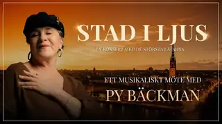 Stad i ljus - Ett musikaliskt möte med Py Bäckman