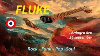 Fluke