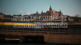Ilman maahanmuuttajia Ruotsi pysähtyy!