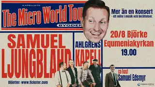 The Micro World Tour Björke