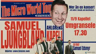 The Micro World Tour Umgransele
