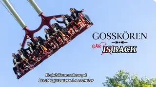 Gosskören возвращается