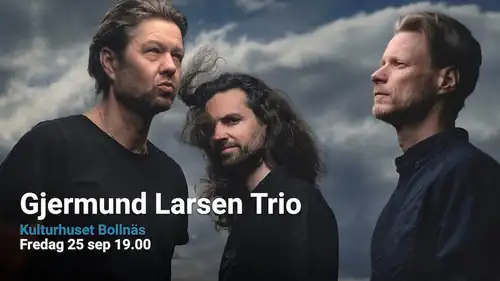 Gjermund Larsen Trio