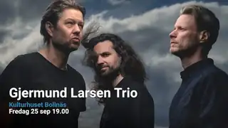 Gjermund Larsen Trio