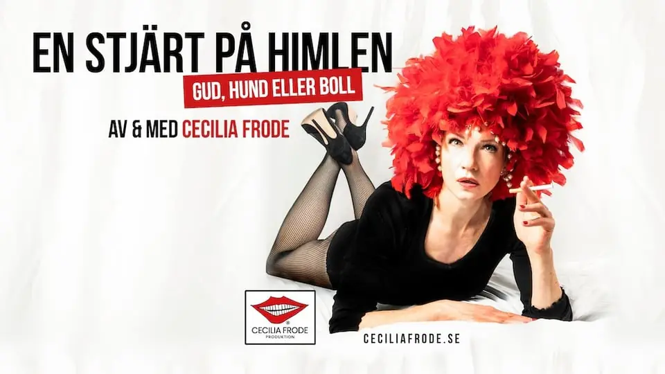 A Star in the Sky with Cecilia Frode — Peter Stormaresalen, Bollnäs