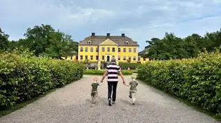 Дневной билет - Herrgård & Barnens Bruk