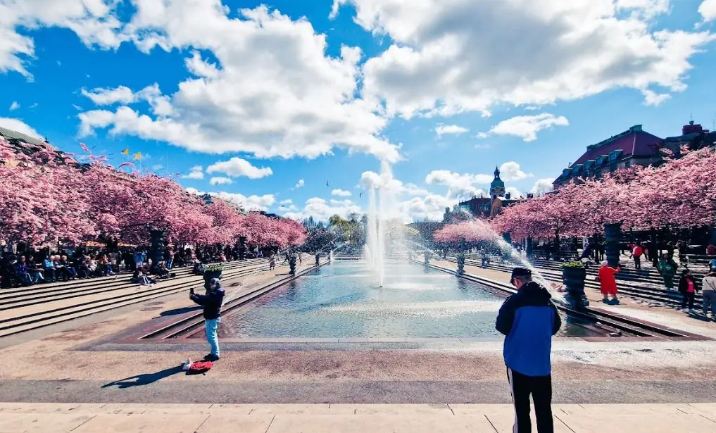 The History of Kungsträdgården — Kungsträdgården, Stockholm