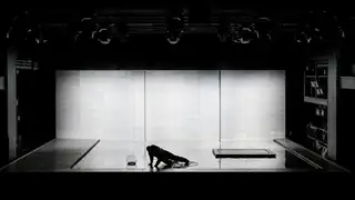 Solaris