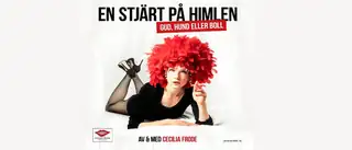 En stjerne på himmelen, Gud hund eller ball