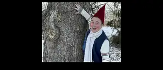The Tale of the First Tomte