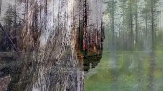 Гухте гуллá / Här för att höra