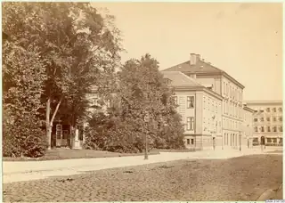 Sukker og global handel i Brunnsparken