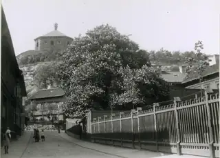 Järnbärarnas Haga
