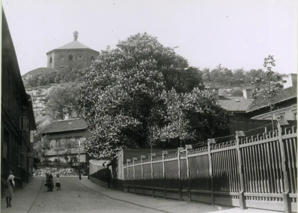Järnbärarnas Haga — Sjöfartsmuseet Akvariet, Göteborg